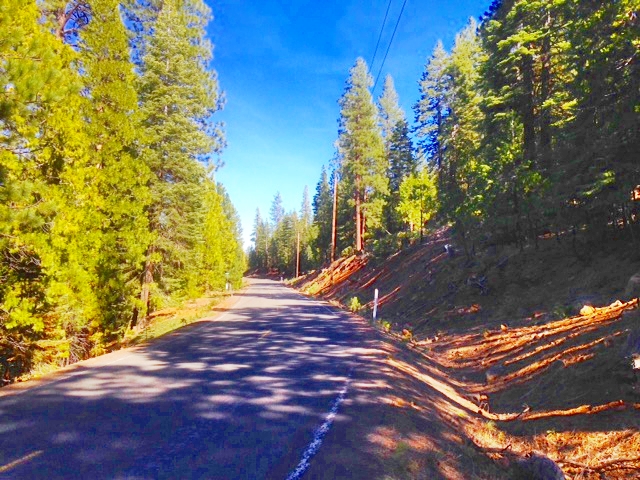 Owner financed land for sale in northern California, close to Oregon.