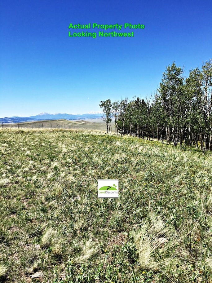 Raw land for sale in Park County, Hartsel, CO