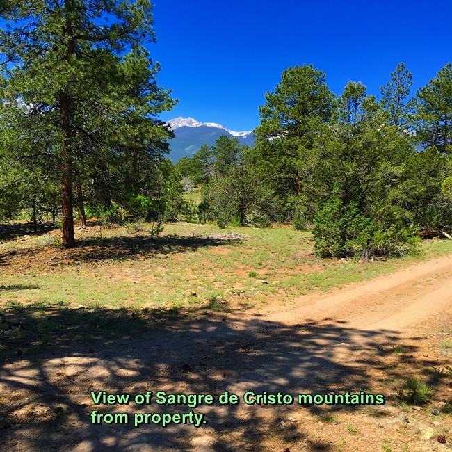 Off-grid cabin land for sale in Central Colorado